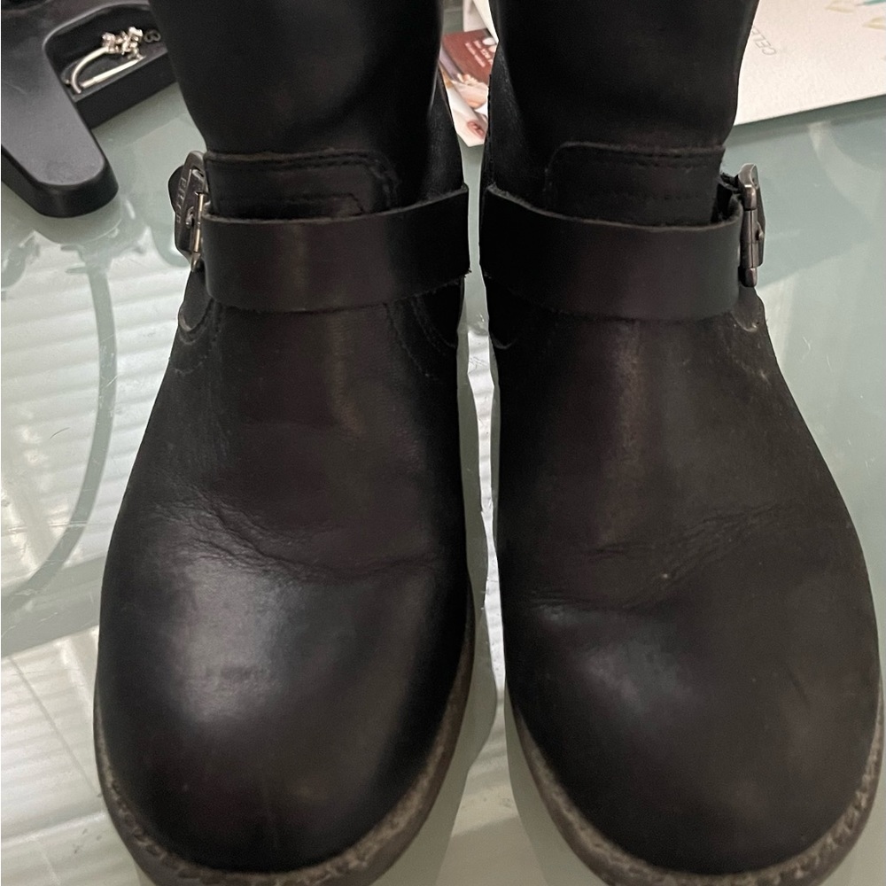 Frye Moto Boots